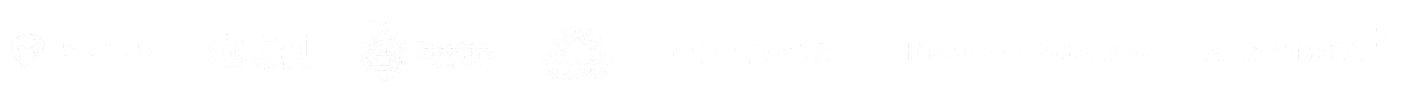 Nits de Festa Elx Logos Footer Web